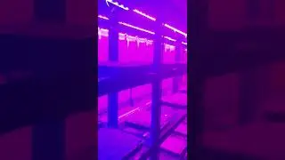 GrowLink  Controlled Multi Spectrum Lighting by Enesys