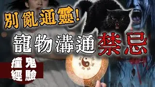 她說自己覺醒了能力，兩個月後，她的寵物通靈變成詛咒｜下水道先生