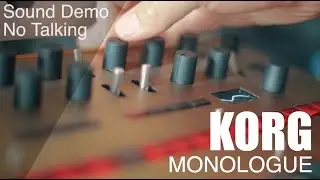 Korg Monologue Sound Demo with effects - No Talking