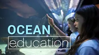 Aquaschool at the Vancouver Aquarium | Ocean Education