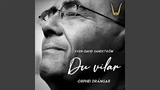 Du vilar