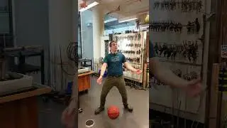 Today, we see how high we can launch a small mass using momentum! #physics #science #stem