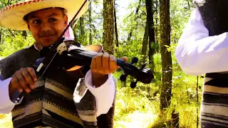 Música Tradicional Purépecha Michoacán 🥇▷ Niños Traviesos