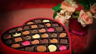 Happy chocolate Day 2021 | Chocolate day Status 2021 | Chocolate Day | Chocolate Day Status