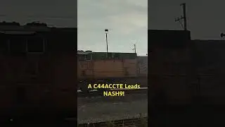 A C44ACCTE Leading!