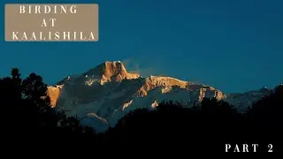 Kaalishila Temple: Winter Birding and Ladscape Photography in Uttarakhand Himalayas (Part2)