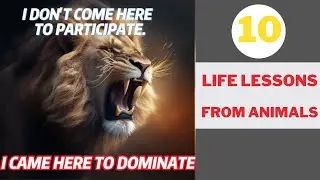10 Life lessons from ANIMALS | Motivational Picture
