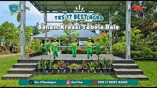 Senam Kreasi Tabola Bale - TKS 17 Best Agro