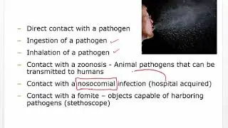Ch 8 Disorders of the immune response Video