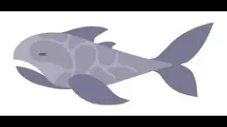 cave shark, dragon, soda fish + bonus clip | cat goes fishing
