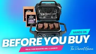 Ninja WoodFire Grill & Smoker - Before You Buy