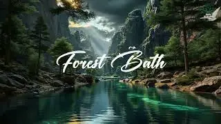Forest Bath | Deep Forest Relaxing Music for Stress Relief, Mindful Calm, and Natural Healing