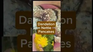 Dandelion Nettle Pancakes. A Savory Low carb way to eat wild foods. #foraging #medicinalherbs