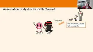 MDUK Muscles Matter 2021: Becker muscular dystrophy