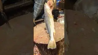 Amazing poha fish cutting skill in Bangladesh fish market by expert cutter #shorts