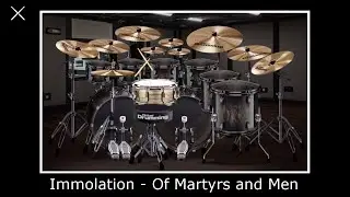 Immolation - Of Martyrs and Men (Virtual Drumming Cover)