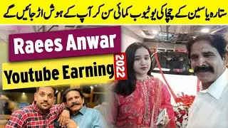Raees Anwar Vlogs YouTube Earnings | Salma Yaseen Vlog | Sitara Yaseen | Professor Vlogs