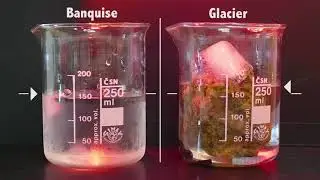 diff&eacute;rence entre la fonte de la banquise et fonte des glaciers
