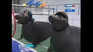 LEAKED VIDEO: Russian Navy Seals Training