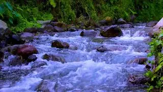 Gentle river ambience forming peaceful natural noise to support calm sleeping conditions