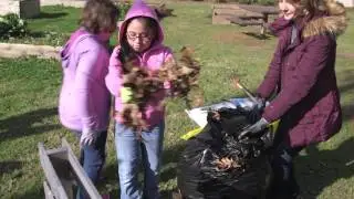 Garden Clean Up