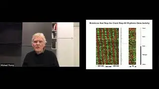 Michael Young at GYSS 2021 - Genetic Control of Sleep and CircadianRhythms