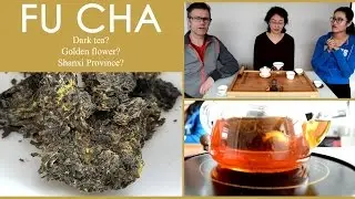 Fu Cha Dark Tea with Golden Flower - Chinese Tea Tasting | ZhenTea