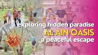 Exploring Al Ain Oasis | Hidden Gem of the UAE