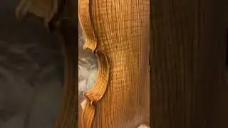 Violin making. UV chamber