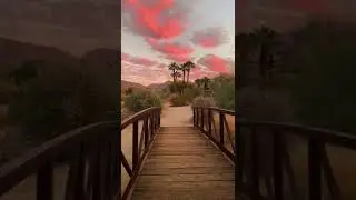 Beautiful Desert Sand - #Oasis #desert #sable #Mountains- Nature Video Short Clips