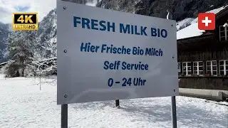 SWISS MILK VENDING MACHINE - Stechelberg, Sandbach Switzerland - BEST MILK ON THE PLANET (4K)