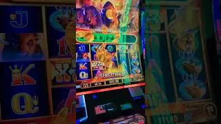double bonus buffalo stampede #slots #casino #lowlimit