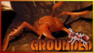 THE FULL SET OF ANT ARMOR - GROUNDED