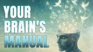 How to Rewire Your Brain: The Mindsight Skill You Need to Know