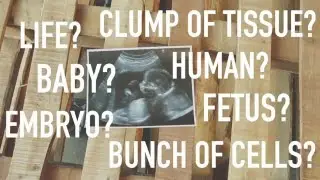 The S.L.E.D. Test: How to Talk About Why You&rsquo;re Pro-Life and Not Pro-Abortion