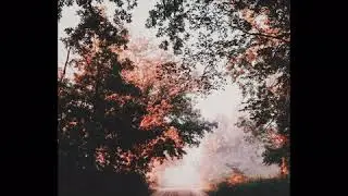 Riptide - Vance Joy // Madison Murphy