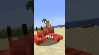 what if the beach biome was better?
