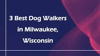 3 Best Dog Walkers in Milwaukee, Wisconsin | Dog Walking Services