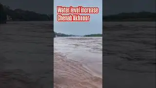 Jammu Chenab akhnoor Red Alert 🚨  Jammu  today news #jknewspublic #Jammunews