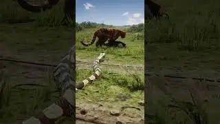 cougar vs man #rdr2 #snake #reddeadredemption