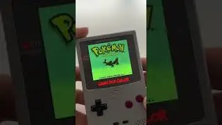 Custom Gameboy Color in DMG Shell. #retrogaming #nintendo #gameboy #gameboycolor #retrogaming