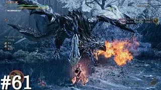 【モンハンワイルズ】【#61】イベントクエスト「王と私は眩闇を知る」★8護竜リオレウス(歴戦の個体)：リオレウス(歴戦の個体)の狩猟【竜都の跡形】「祝謡のカタログ」を入手