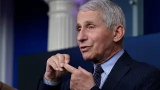 WATCH LIVE: Biden administration holds press conference with Dr. Fauci