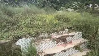 चबूतरे कि हाल#funny #chhathpuja #newvideo #technews #nature #newvideo #bhojpuri #shortvideo #foryou