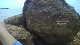 Mancing Santai Berujung Luka Serius! Duri Ikan Menyerang!