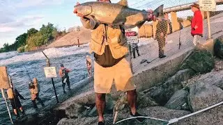 Salmon fishing the hottest spot on the feather river!