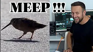 Spaul x Woodcock  -  MEEP