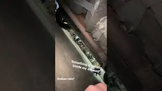 2006 mustang v6 rattling sound inside exhaust system
