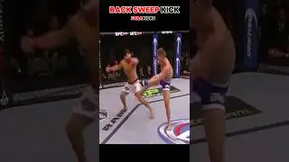 Back sweep kick. #martialarts #mma #ufc