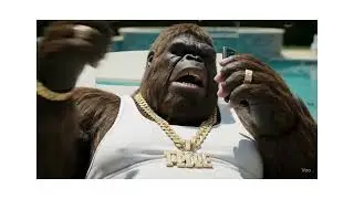 Call My Guy !